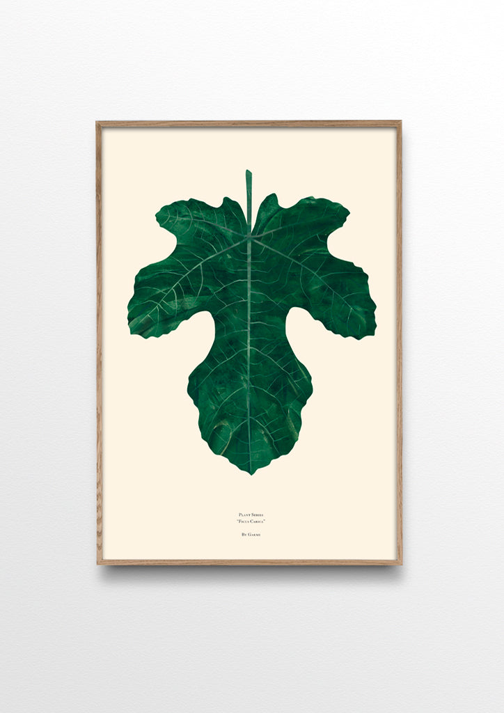 Fig leaf - By Garmi Studio